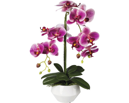 Kunstblume Schmetterlingsorchidee "Phalaenopsis" H 52 cm pink Künstliche Orchidee in weißem Topf