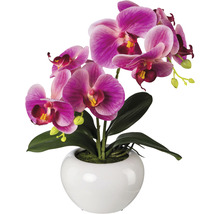 Kunstpflanze Phalaenopsis Fuchsia Höhe: 35 cm pink