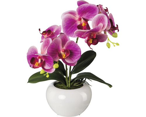 Kunstpflanze Phalaenopsis Fuchsia Höhe: 35 cm pink