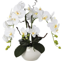 Kunstpflanze Phalaenopsisarrangem Höhe: 55 cm weiß