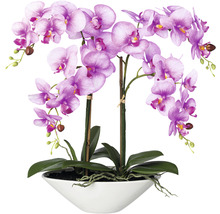 Kunstpflanze Phalenopsis Höhe: 53 cm lila