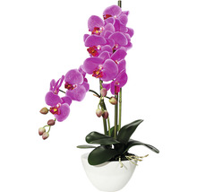 Kunstpflanze Phalaenopsis Höhe: 50 cm lila