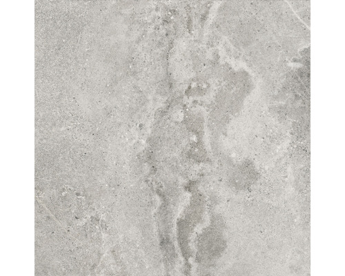 Feinsteinzeug Bodenfliese Dolomiti ash 60x60 cm grau matt rektifiziert