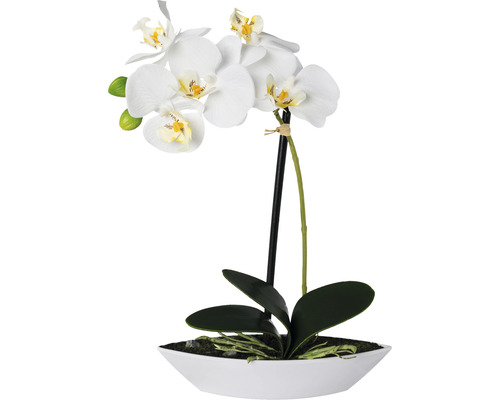 Kunstpflanze Phalaenopsis in Schale Höhe: 30 cm weiß