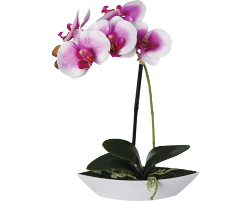 Kunstpflanze Phalaenopsis in Schale Höhe: 30 cm weiß-lila Dekorative Orchidee in weißem Topf