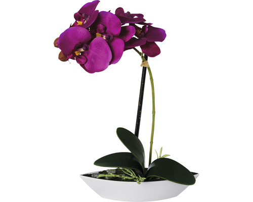 Kunstpflanze Phalaenopsis in Schale Höhe: 30 cm lila