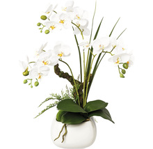 Kunstpflanze Phalaenopsis Höhe: 46 cm weiß