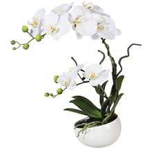 Kunstpflanze Phalaenopsis Höhe: 42 cm weiß