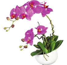 Kunstpflanze Phalaenopsis Höhe: 42 cm lila