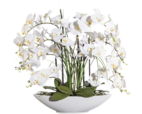 Kunstpflanze Phalaenopsis Höhe: 70 cm weiß