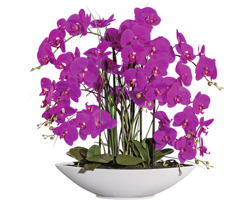 Kunstpflanze Phalaenopsis Höhe: 70 cm lila