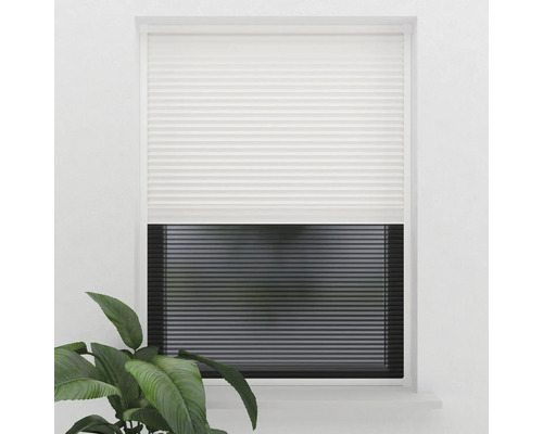 Weißes Plissee am Fenster für Sichtschutz und Dekoration