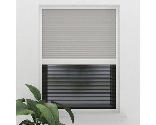 Fenster mit Plissee-Rollos zur Lichtregulierung und zum Schutz der Privatsphäre