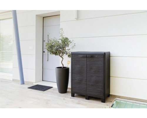 Eingangsbereich mit Schuhschrank, Pflanze im Topf und Fußmatte