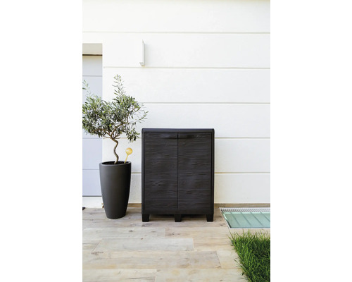 Gartenschrank mit zwei Türen neben einem Olivenbaum im Topf