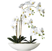 Kunstpflanze Phalaenopsis Höhe: 60 cm weiß