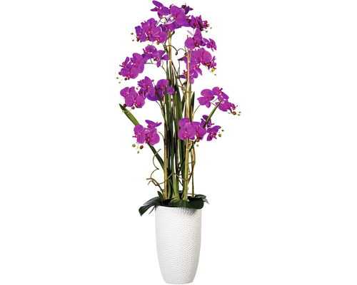Kunstpflanze Phalaenopsisarrangem Höhe: 160 cm lila