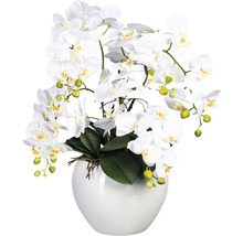 Kunstpflanze Phalaenopsis Höhe: 56 cm weiß