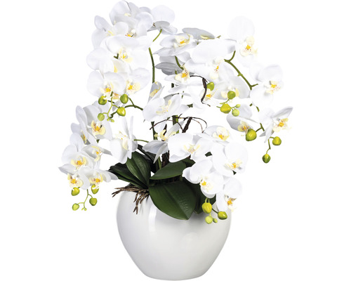 Kunstpflanze Phalaenopsis Höhe: 56 cm weiß