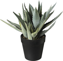 Künstliche Aloe Vera Pflanze im Topf