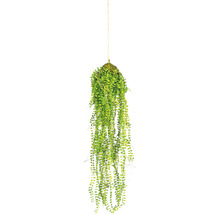 Kunstpflanze Miniblatt-Hänger Höhe: 70 cm grün