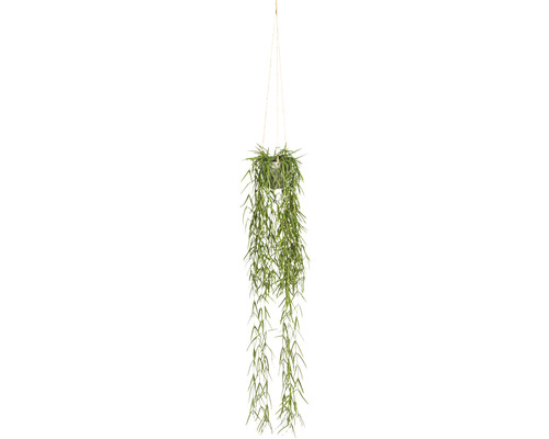 Kunstpflanze Tillandsie Höhe: 90 cm grün
