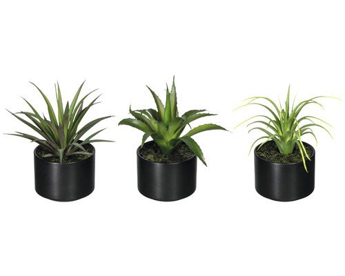 Kunstpflanze Aloe, Agave, Tillandsie Mix Höhe: 15 cm grün Drei künstliche Pflanzen in schwarzen Töpfen