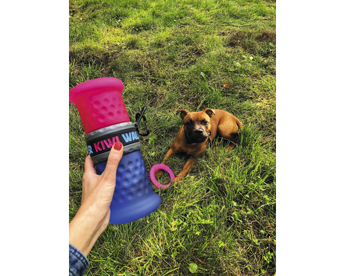 Tragbare Trinkflasche für Hunde im Einsatz mit Hundespielzeug im Gras