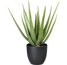 Kunstpflanze Aloe Höhe: 55 cm grün
