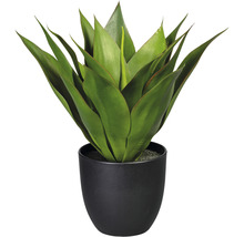Kunstpflanze Agave Höhe: 36 cm grün