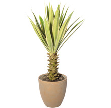 Künstliche Agave im Topf als Dekoration für Innenräume