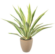 Kunstpflanze Agave Höhe: 85 cm grün