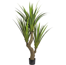 Kunstpflanze Agave Höhe: 160 cm grün