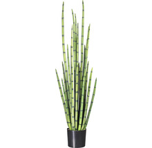 Kunstpflanze Sanserveria Höhe: 140 cm grün