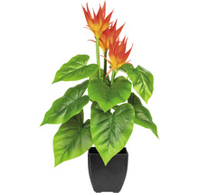 Kunstpflanze Guzmania Höhe: 58 cm grün