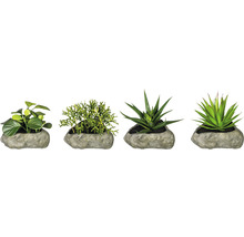 Kunstpflanze Sukkulente Höhe: 15 cm grün