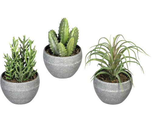 Kunstpflanze Sukkulente Höhe 16 cm grün HORNBACH AT