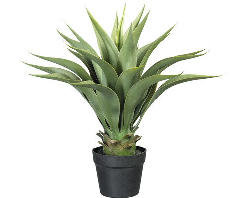 Kunstpflanze Agave Höhe: 57 cm grün