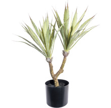 Kunstpflanze Agave Höhe: 48 cm grün