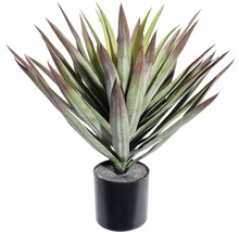Kunstpflanze Yucca Höhe: 48 cm grün