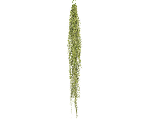 Kunstpflanze Tillandsienhänger Höhe: 140 cm grün