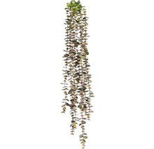 Kunstpflanze Eukalyptushänger Höhe: 80 cm grün