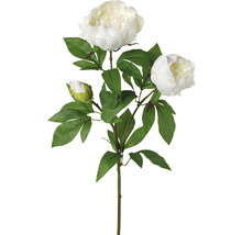 Kunstpflanze Peonienzweig Höhe: 70 cm weiß