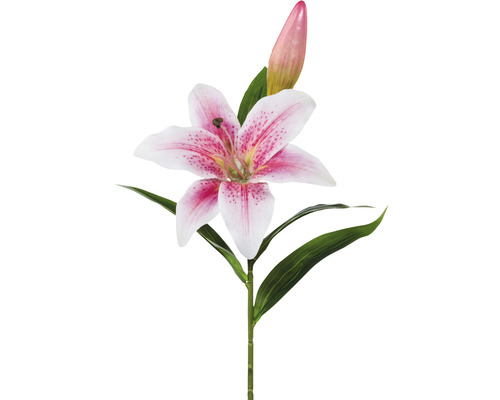 Kunstpflanze Lilie Höhe: 50 cm grün