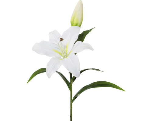 Kunstpflanze Lilie Höhe: 50 cm weiß