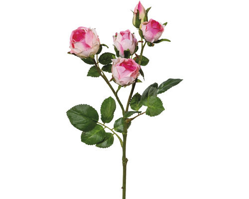Kunstpflanze Polyantarose Höhe: 39 cm rosa jetzt kaufen bei