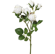 Kunstpflanze Polyantarose Höhe: 39 cm weiß