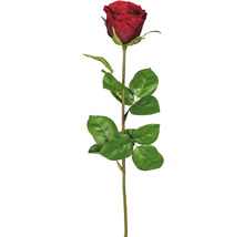 Kunstpflanze Gartenrosen Höhe: 69 cm rot