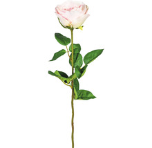 Kunstpflanze Gartenrose Höhe: 69 cm rosa