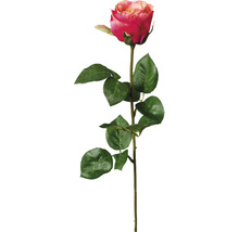 Kunstpflanze Gartenrosen Höhe: 69 cm rosa